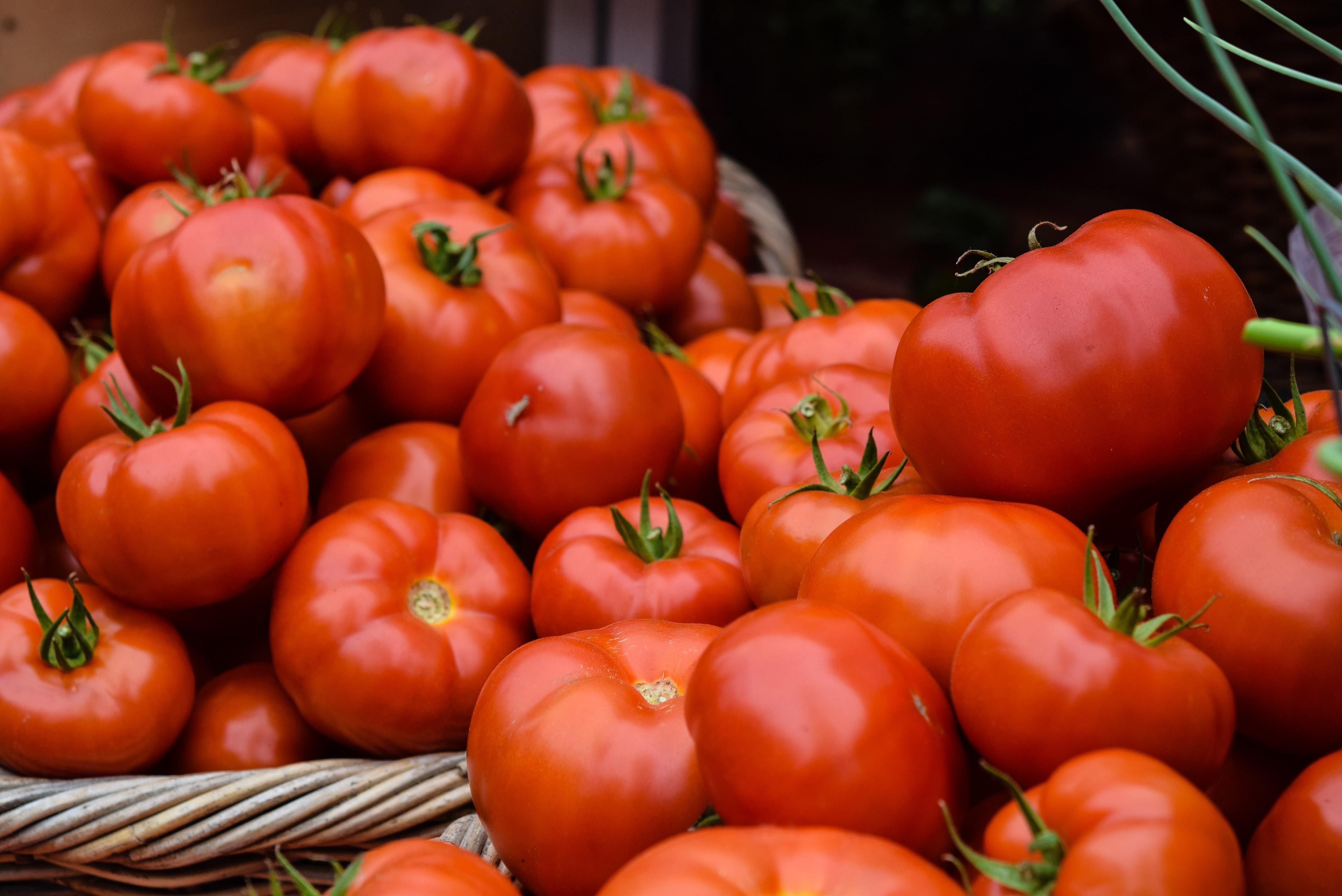 Чому помідори краще не зберігати в холодильнику - Ідеї