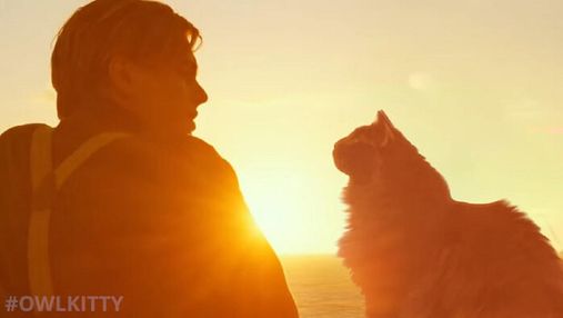 Якби в "Титаніку" замість Кейт Вінслет зіграла кішка Ліззі: кумедне відео, яке стало вірусним